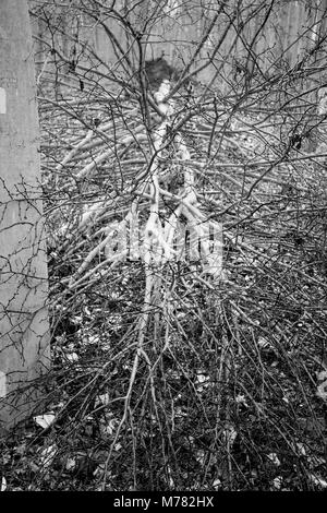 März 6, 2018 - Posen, Großpolen, Polen - Orte - der Wald und seine Umgebung in den frühen Frühling. (Bild: © dawid Tatarkiewicz über ZUMA Draht) Stockfoto