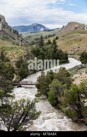 Gardner River von Rettung Creek Trail. Stockfoto