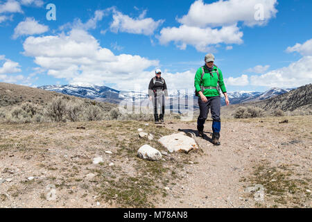 Wanderer mit Bear Spray auf Beaver Teiche Loop Trail. Stockfoto