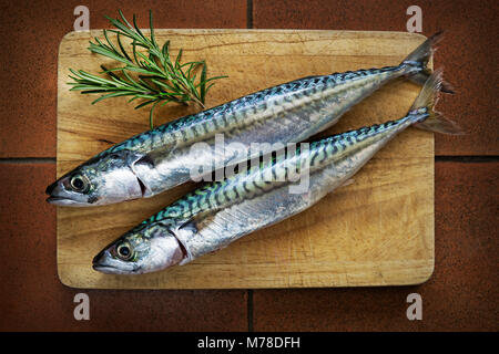Frische Makrele Fisch auf Holzbrett mit Kräutern Stockfoto