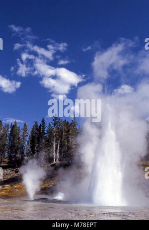 Vent-Turban-Grand Geyser (links nach rechts), Upper Geyser Basin. Vent-Turban-Grand Geyser (von links nach rechts); Upper Geyser Basin; Stockfoto