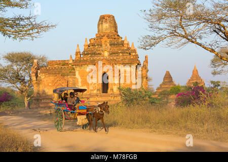 Touristen, die ein Pferd und Wagen fahren an Tempeln, Stupas in der Abendsonne in Bagan, Myanmar (Birma), Asien im Februar Stockfoto