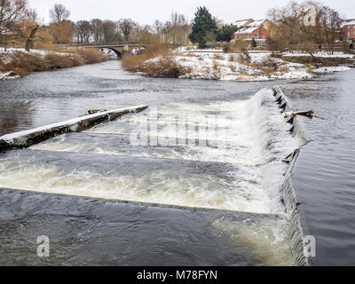 Lachs Schritte und Wehr im Winter auf dem Fluß Ure bei Derby North Yorkshire England Stockfoto