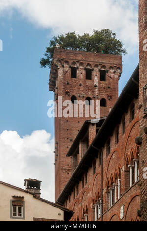 Die schöne mittelalterliche Torre Guinigi Turm mit Steineichen auf der Oberseite, Lucca, Toskana, Italien Stockfoto