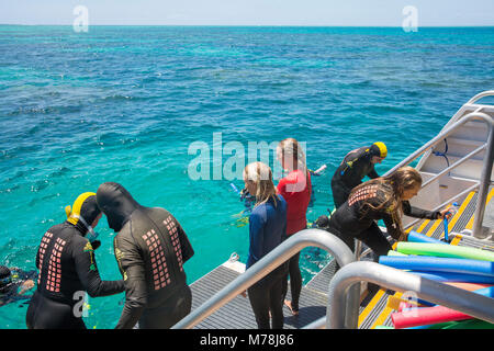 Touristen zum Great Barrier Reef zum Schnorcheln und Tauchen am Riff vorbereiten, Far North Queensland, Australien Stockfoto