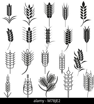 Weizen ohr Icon Set. Getreide können Symbole für organische Pflanzen, Brot verwendet werden und Essen, natürliche Ernährung, Landwirtschaft Saatgut. Für Logo Design natürliches Produkt und Stock Vektor