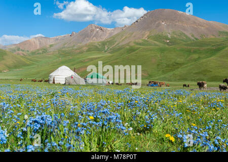 Nomad Jurtencamp, Song Kol See, Provinz Naryn, Kirgisistan, Zentralasien, Asien Stockfoto