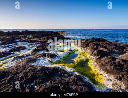 Küste in der Nähe von Mosteiros, Sao Miguel, Azoren, Portugal, Atlantik, Europa Stockfoto