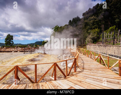 Fumarolas da Lagoa das Furnas, Hot Springs, Sao Miguel, Azoren, Portugal, Atlantik, Europa Stockfoto