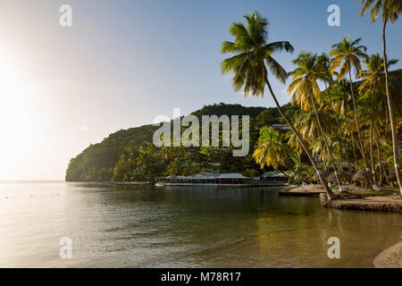 Die großen Palmen auf dem kleinen Strand in Marigot Bay, St. Lucia, Windward Islands, West Indies Karibik, Mittelamerika Stockfoto