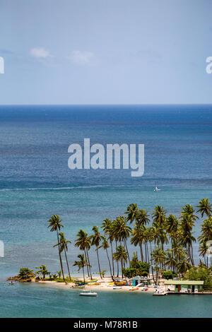 Die großen Palmen auf dem kleinen Strand in Marigot Bay, St. Lucia, Windward Islands, West Indies Karibik, Mittelamerika Stockfoto