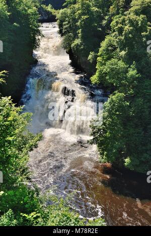 Die Wasserfälle von Clyde in Überflutung Zustand in der Nähe der Stadt New Lanark, South Lanarkshire, Schottland, UK Stockfoto