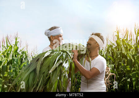 Zwei Bauern, die in der Landwirtschaft Bauernhof Stockfoto