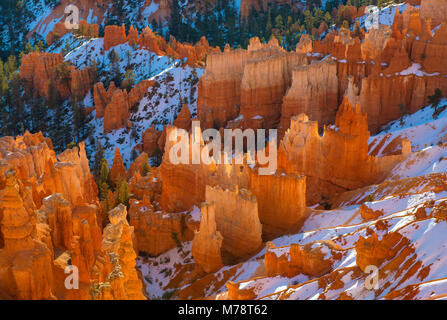 Sunrise, Wall Street, Bryce Canyon National Park, Utah Stockfoto