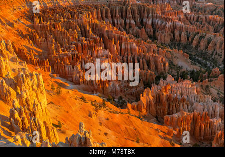 Sunrise, Wall Street, Bryce Canyon National Park, Utah Stockfoto