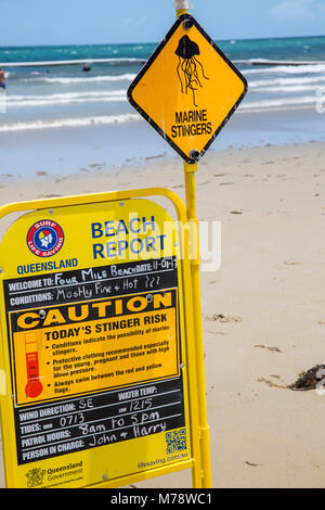 Strand Bericht und Warnung der Marine stingers auf Four Mile Beach in Port Douglas Queensland Stockfoto