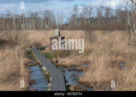 Die Grenze in der Natur finden die Wooldse veen auf der südöstlichen Seite der Gemeinde Winterswijk in den Niederlanden an der Grenze zu Germa Stockfoto