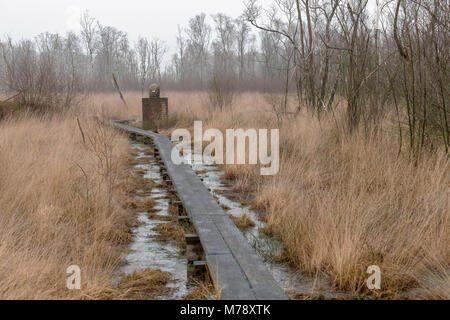 Die Grenze in der Natur finden die Wooldse veen auf der südöstlichen Seite der Gemeinde Winterswijk in den Niederlanden an der Grenze zu Germa Stockfoto