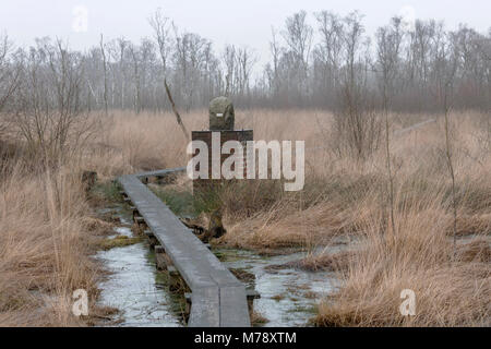 Die Grenze in der Natur finden die Wooldse veen auf der südöstlichen Seite der Gemeinde Winterswijk in den Niederlanden an der Grenze zu Germa Stockfoto