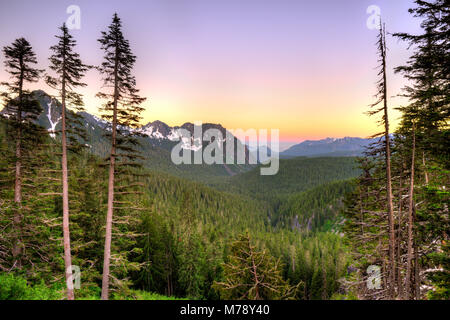 Blick auf den Mount Rainier National Park, Washington State, USA Stockfoto