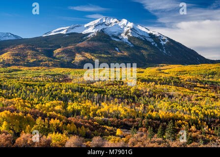 West Beckwith Mountain, aspens in fall foliage, seen from West Elk Loop Scenic Byway, Gunnison National Forest, West Elk Mountains, Colorado, USA Stockfoto