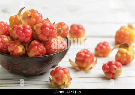 Frische organische Berry Moltebeeren in ein Ton Schüssel auf hellen Hintergrund. Selektiver Fokus Stockfoto