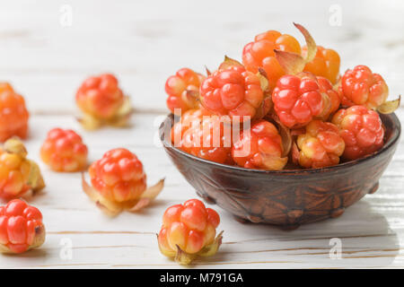 Frische organische Berry Moltebeeren in ein Ton Schüssel auf hellen Hintergrund. Selektiver Fokus Stockfoto