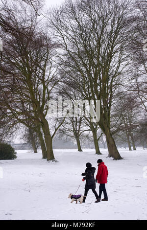 Paar mit Hund vorbei gehen. Buche in Unseasonal Schnee im Beacon Park am 3. März 2018 Lichfield, Staffordshire, England der Mann hat rote Jacke Stockfoto