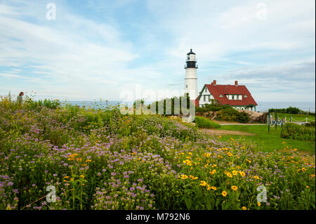 Wildblumen umgeben Portland Head Lighthouse an einem warmen Summ er Tag in Maine. Es ist Maine's älteste Leuchtfeuer. Stockfoto