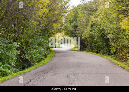 Gebogene Land asphaltierten Straße durch den Wald in der Slowakei Stockfoto