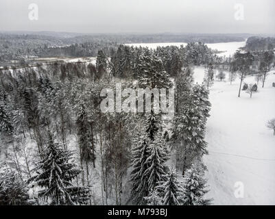 Weißer Schnee in den Wald im Winter Stockfoto