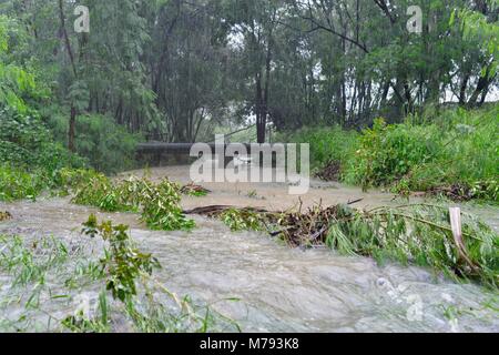 Überflutet Fußgänger- und Radweg nach Stürme und starke Regenfälle, in der Nähe des Bruce Highway Annandale, Townsville, Queensland, Australien Stockfoto