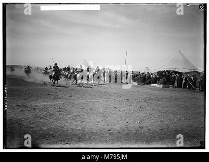 Beduinische Hochzeit Serie. Montiert Beduinen racing LOC 01329 matpc. Stockfoto