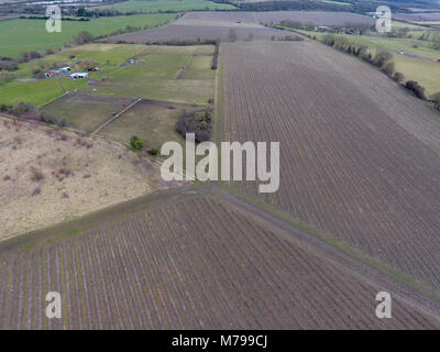 Antenne Drohne abgeschossen, mit Blick auf die Weinfelder in einem Kent Weinberg im Winter und Frühjahr beginnt Stockfoto