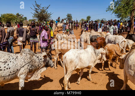 Junge Hamar Männer, Kauf und Verkauf von Vieh bei der wöchentlichen Stammes- Markt in Dimeka, Omo Valley, Äthiopien Stockfoto