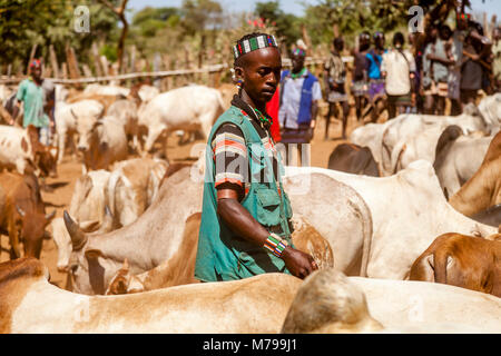 Junge Hamar Männer, Kauf und Verkauf von Vieh bei der wöchentlichen Stammes- Markt in Dimeka, Omo Valley, Äthiopien Stockfoto