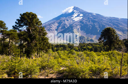 Allgemeine Ansicht der Vulkan Lanin in der Patagonischen Anden an der Grenze zwischen Argentinien und Chile. Stockfoto