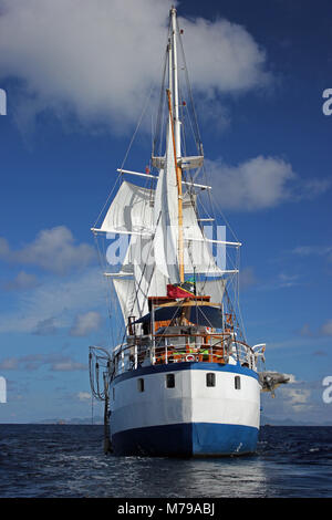 Segelboot in Westindien Stockfoto