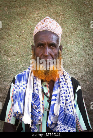 Portrait von muslimischen Mann mit Henna gefärbten Bart, der Ferne region, Assayta, Äthiopien Stockfoto