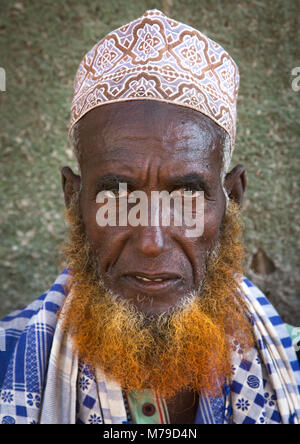 Portrait von muslimischen Mann mit Henna gefärbten Bart, der Ferne region, Assayta, Äthiopien Stockfoto