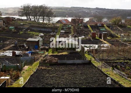 Zuteilungen in Berwick-upon-Tweed in England. Die Gärten mit Blick auf den Fluss Tweed. Stockfoto