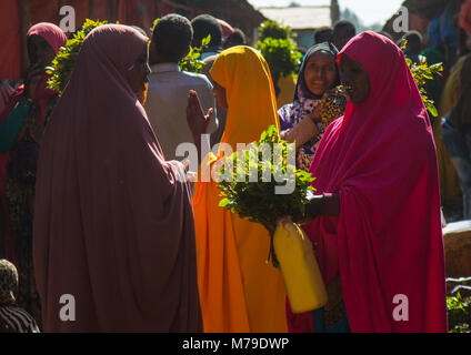 Khat Handel in awaday khat Markt in der Nähe von harar, die khat Hauptstadt der Welt, Harari region, Awaday, Äthiopien Stockfoto