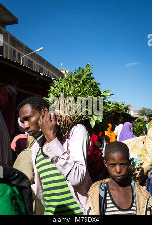 Khat Handel in awaday khat Markt in der Nähe von harar, die khat Hauptstadt der Welt, Harari region, Awaday, Äthiopien Stockfoto