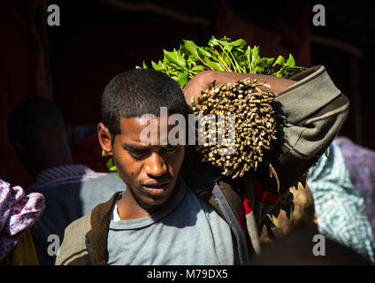 Khat Handel in awaday khat Markt in der Nähe von harar, die khat Hauptstadt der Welt, Harari region, Awaday, Äthiopien Stockfoto