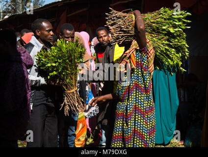 Khat Handel in awaday khat Markt in der Nähe von harar, die khat Hauptstadt der Welt, Harari region, Awaday, Äthiopien Stockfoto