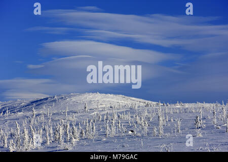 Nordamerika, USA, Alaska, North Alaska, James Dalton Highway, Winterlandschaft, Stockfoto