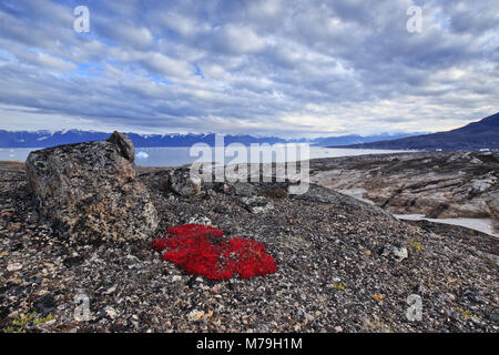 Grönland, Ostgrönland, Scoresbysund, Eisberge, Küstenlandschaft, Berglandschaft, Herbst, Tundra, Stockfoto