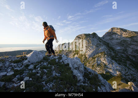 Wandern Szene in Monte Cavallo, Dolomiten heigh Route Nr. 7, Karnischen Alpen, Venetien, Italien, Stockfoto