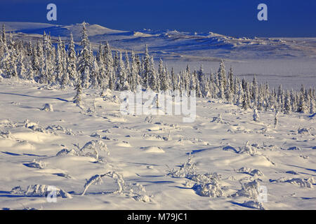 Nordamerika, USA, Alaska, zentrale Alaska, James Dalton Highway, Winterlandschaft, Stockfoto