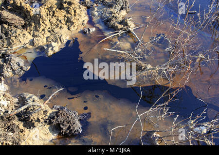 In Nordeuropa, Russland, Komi region, Usinsk, Öl, Öl, Öl, Verschmutzung, Stockfoto